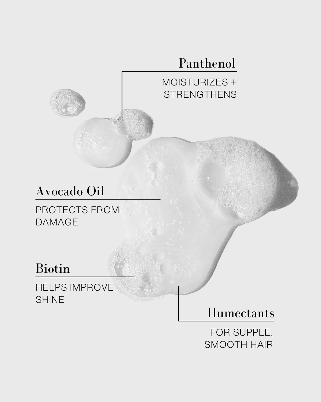 The Daily Shampoo Moisturizing Shampoo Moisturizing Shampoo